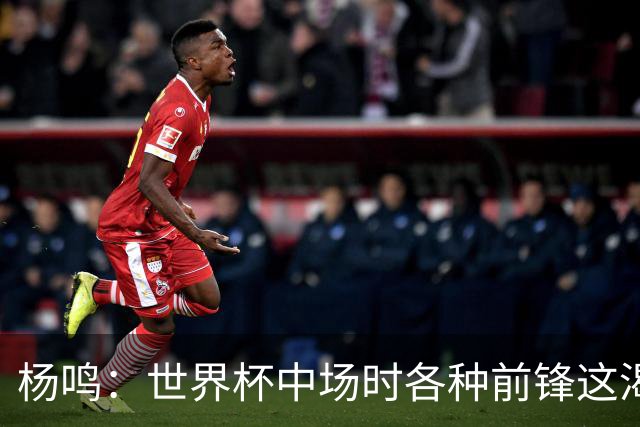杨鸣：世界杯中场时各种前锋这渴了那饿了全来了 谁能记住后卫呢